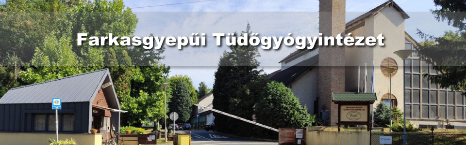 Tüdőgyógyintézet